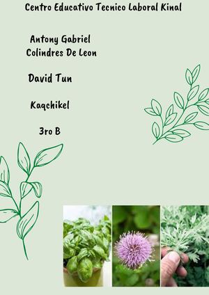 Plantas Medicinales