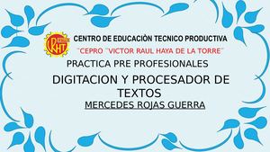 Proyecto De Practicas Pre Profecional de,Mercedes Rojas Guerra