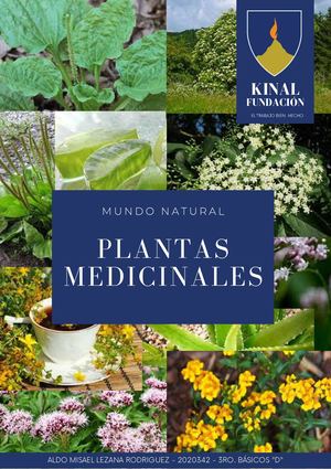 Revista Digital plantas medicinales