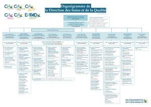 Organigramme Direction Des Soins CHSD CHVLF HL 1807