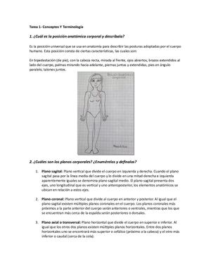 Tarea 1 Conceptos Y Terminologia