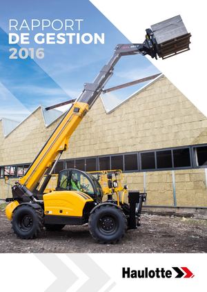 2016 - Rapport De Gestion