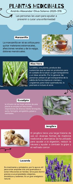 Infografía De Proceso Rompecabezas Sencillo Colorido