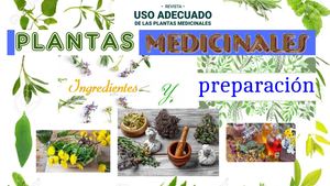 Revista Digital De Plantas Medicinales
