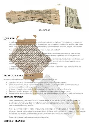 tipos de Mederas Definitivo