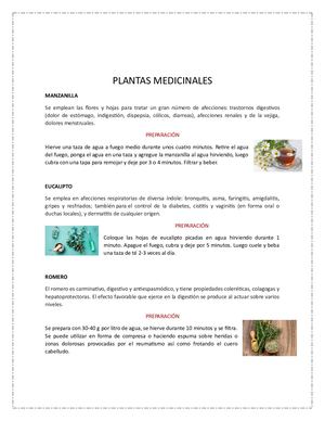 Plantas Medicinales