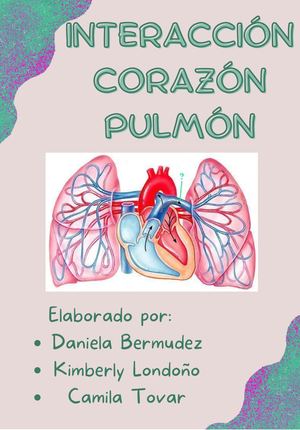 Interacción Corazón Pulmón