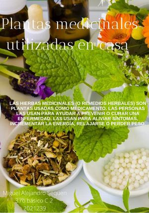 Plantas medicinales