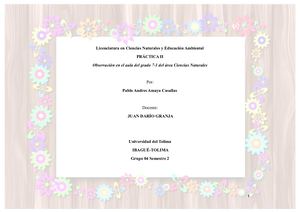Practica Observacion Institucion Educativa Tecnica Ciudad Ibague