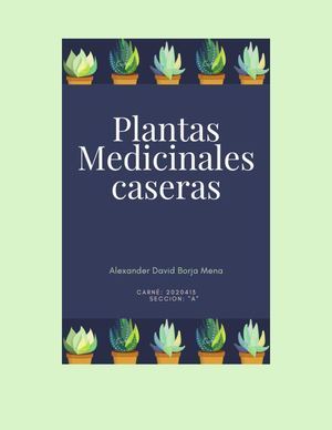 Kaqchikel Semana 4 Del 3er Bimestre Alexander Borja