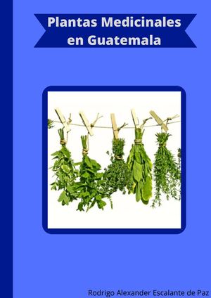 Plantas Medicinales