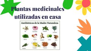 Plantas Medicinales (agonzalez-2020540)