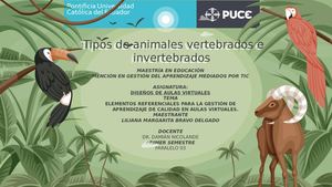 Animales Vertebrados E Invertebrados