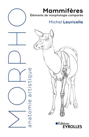 Morpho mammifères - extrait