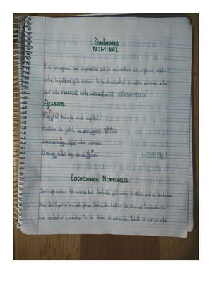 T6 Iv Bloque Sintagma Nominal Y Verbal