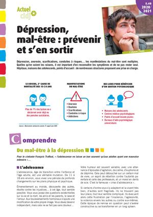 5 48 Depression Mal Etre Prevenir Et S En Sortir