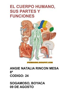 Qué Es El Cuerpo Humano