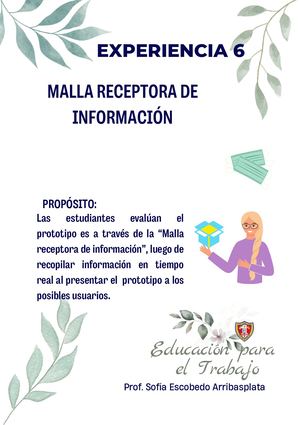 MALLA RECEPTORA DE INFORMACIÓN
