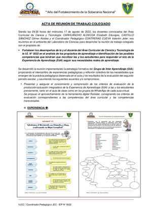 Acta De Gia Cyt 17 08 22