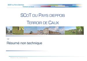SCOT PDTC Résumé Non Technique Approb Med