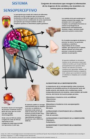 Sistema Sensoperceptivo