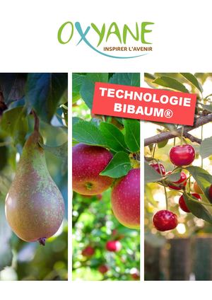 Bibaum Technologie
