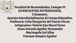 transdisciplinariedad