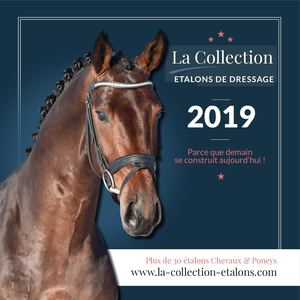Création du catalogue 2019 La Collection