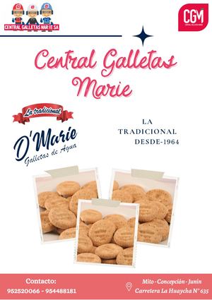 Catálogo De Productos Cgm (4)