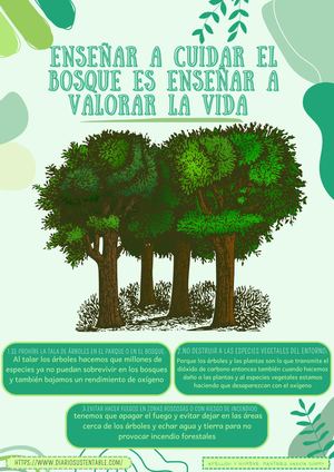 Afiche Enseñar A Cuidar El Bosque Es Enseñar A Valorar La Vida