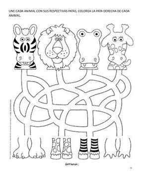 Actividad De Animales