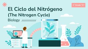 Ciclo Del Nitrógeno