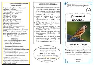 Домовый воробей птица 2022 года