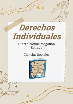 Derechos Individuales Sociales Dineth Mogollón