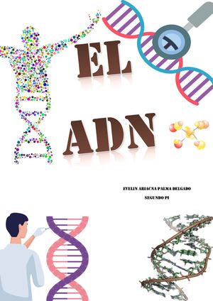 Adn Como Base De La Vida, Evelin Palma