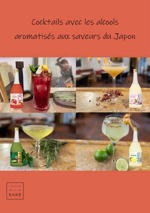 Livret Cocktail Takara Aux Saveurs Du Japon