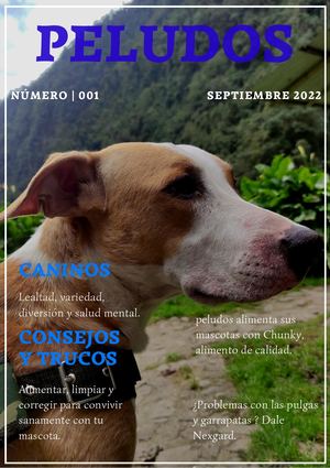 Revista Peludos