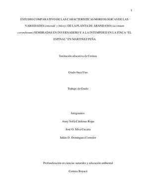 Proyecto Arandanos Jose , Julian Y Anny