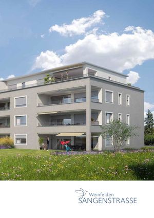 Weinfelden Sangenstrasse