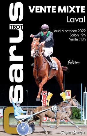 22 08 139 Osarus Vente Laval Vente Mixte