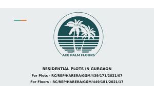 Residential Plots In Gurgaon Ace Palm Floors
