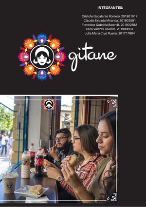 Diagonostico Organizacional Informe Empresa Gitane