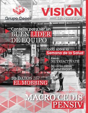 Visión | Revista digital interna de Grupo COCEI | 1ra Edición