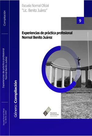 09 EXPERIENCIAS DE PRÁCTICA PROFESIONAL