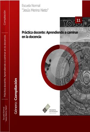 11  PRÁCTICA DOCENTE: APRENDIENDO A CAMINAR EN LA DOCENCIA