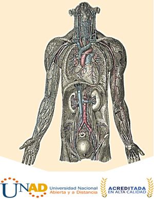 Conceptos y terminología