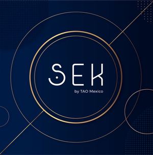 Sek Por Páginas 01 Lr