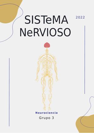 Sistema Nervioso (1)