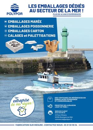Calaméo - Catalogue Polypor 2022