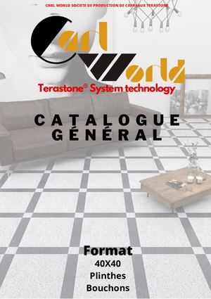 Calaméo - Catalogue Carlworld
